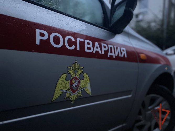 Росгвардейцы в Томске по сигналу «тревога» задержали подозреваемую в краже (видео)