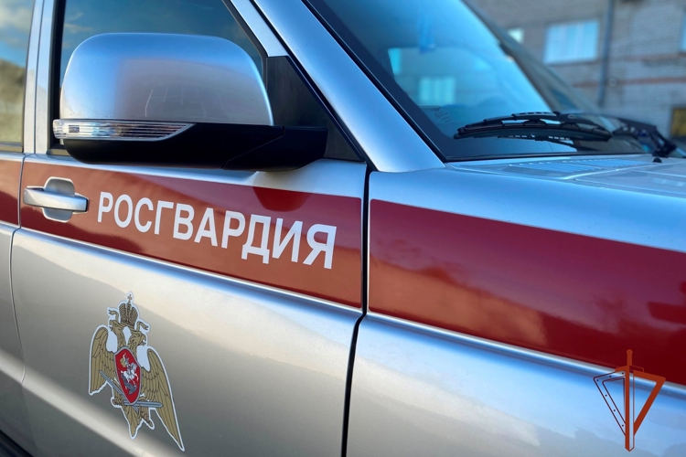 Сотрудники Росгвардии в Томске задержали мужчину, который в охраняемом гипермаркете угрожал предметом, схожим с гранатой