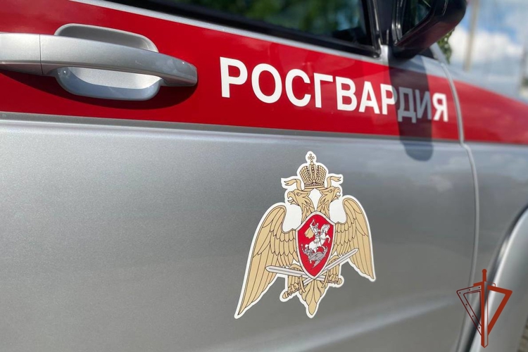 В Томске сотрудники Росгвардии и служба безопасности гипермаркета задержали подозреваемую в краже (видео)
