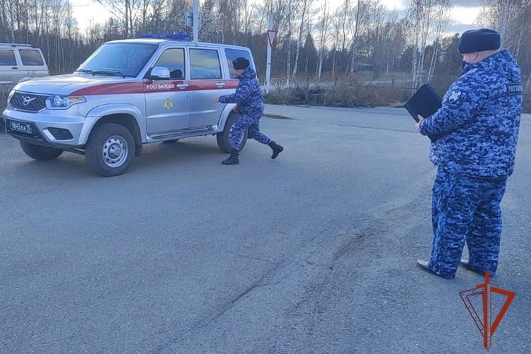 В Росгвардии завершилась онлайн-акция «Связь поколений» (видео)