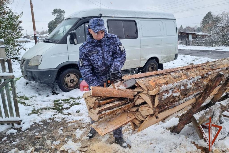 Росгвардейцы в Томской области помогли подготовиться к предстоящим холодам семье погибшего коллеги