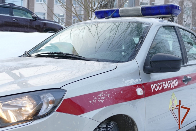 Находящегося в федеральном розыске мужчину задержали сотрудники Росгвардии в Томске