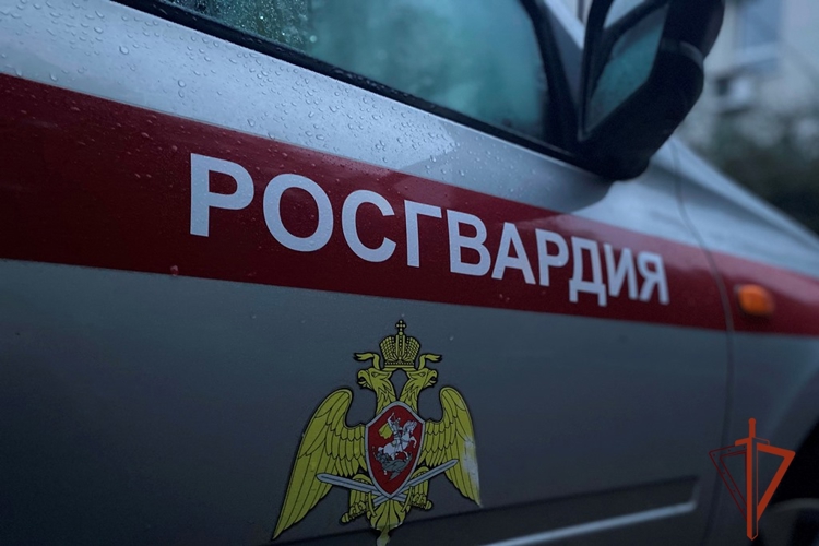 Сотрудники Росгвардии в Томской области оказали содействие в задержании подозреваемого в тяжком преступлении (видео)