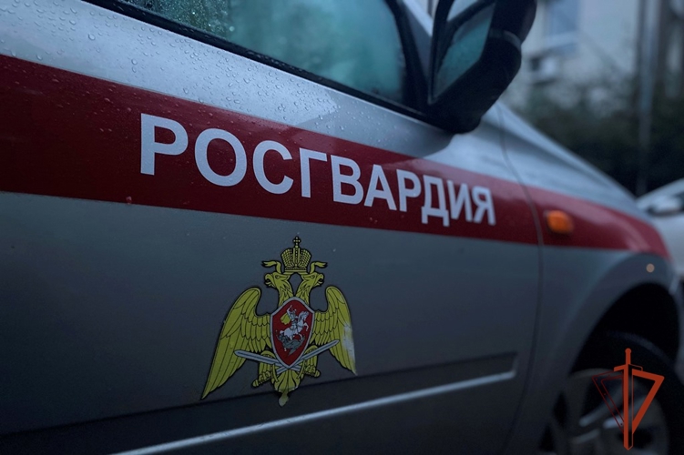 Росгвардейцы в Томске задержали двух местных жителей, находящихся в федеральном розыске