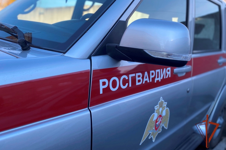 В Томской области росгвардейцы задержали мужчину, находящегося в федеральном розыске