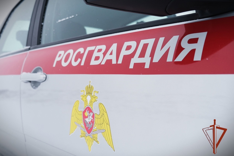 Росгвардия обеспечила правопорядок на спортивных мероприятиях в Томске